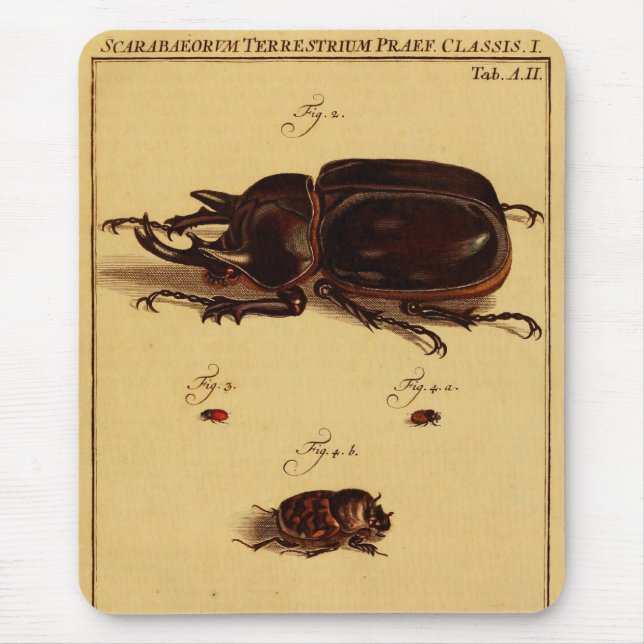 Rhinoceros Beetles Mouse Mat (Front)