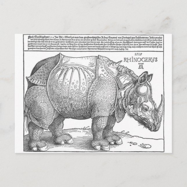 Rhinoceros by Albrecht Durer Postcard (Front)