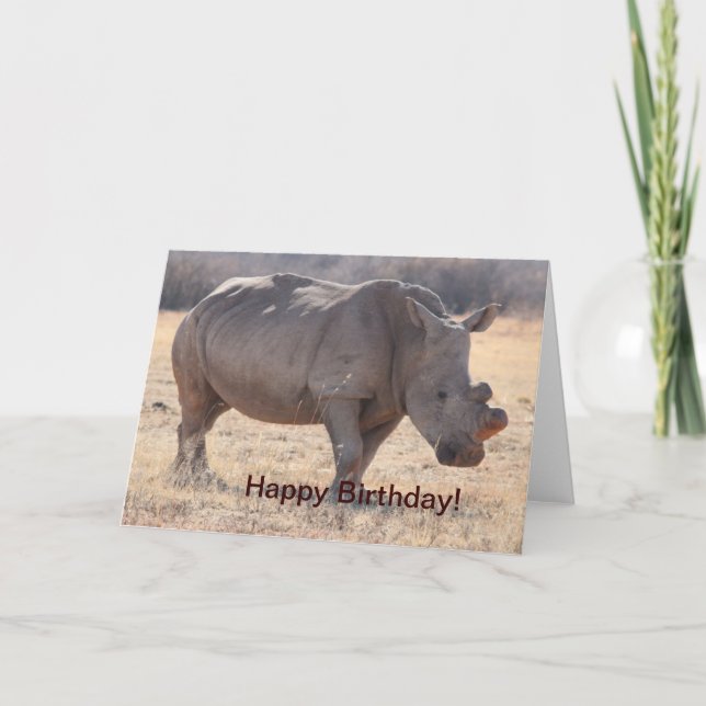 Rhinoceros Card (Front)
