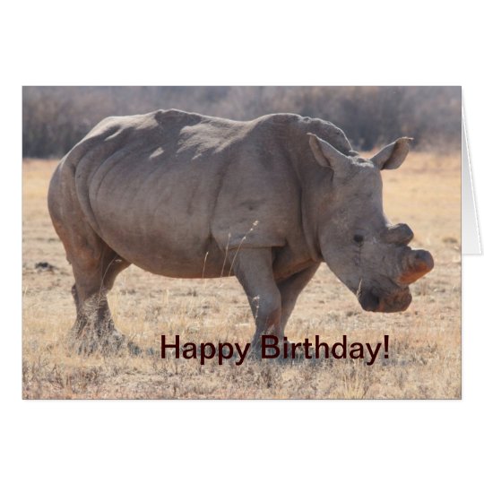 Rhinoceros Card