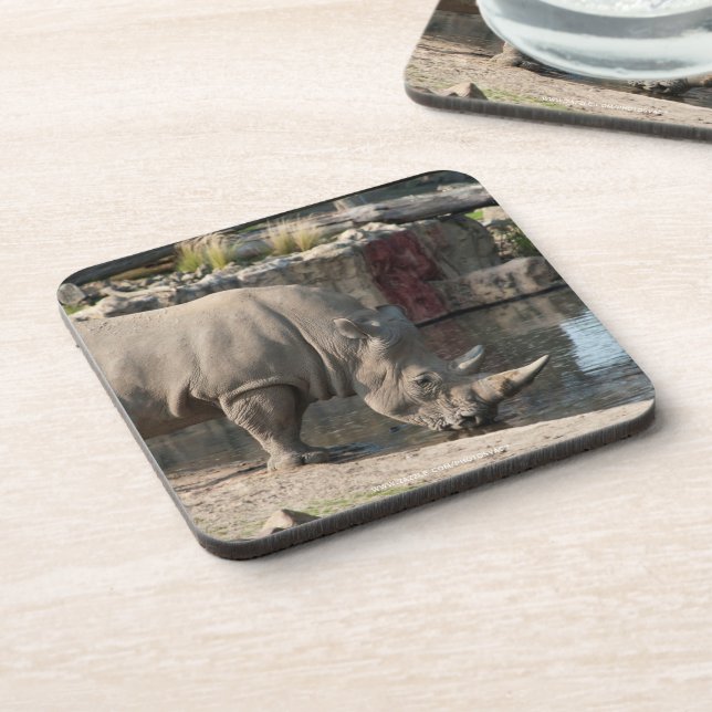 Rhinoceros Coaster (Left Side)