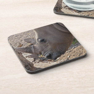 Rhinoceros Coaster