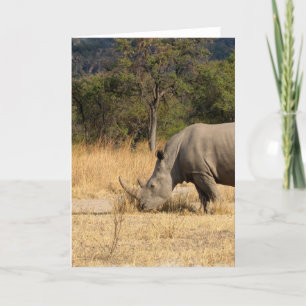 Rhinoceros Family Greeting Card