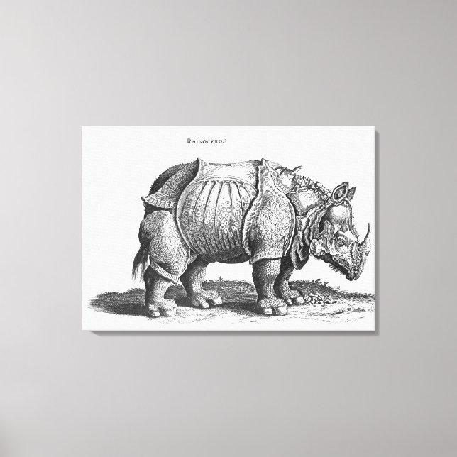 Rhinoceros, from 'Historia Animalium' Canvas Print (Front)