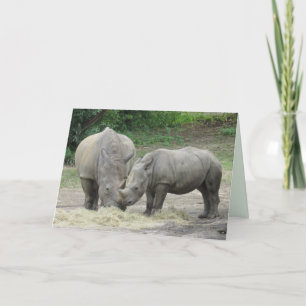 Rhinoceros Greeting Card