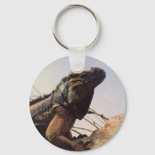 Rhinoceros Iguana Key Ring
