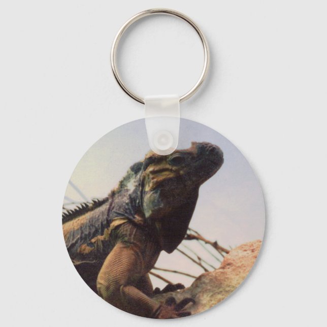 Rhinoceros Iguana Key Ring (Front)