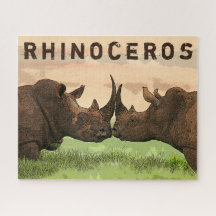rhinoceros 