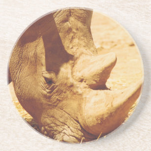 Rhinoceros Love Coaster