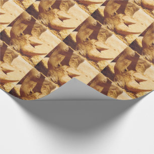 Rhinoceros Love Wrapping Paper