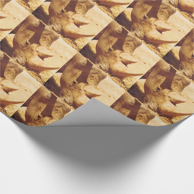 Rhinoceros Love Wrapping Paper (Corner)