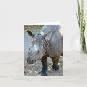 Rhinoceros Photo Folded Note Card