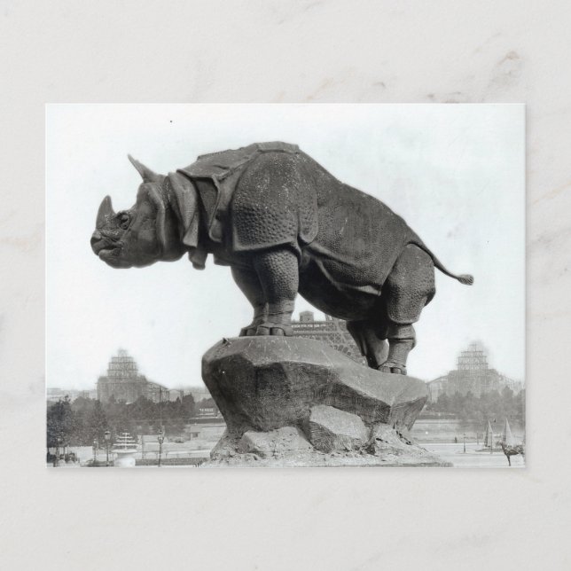 Rhinoceros Postcard (Front)