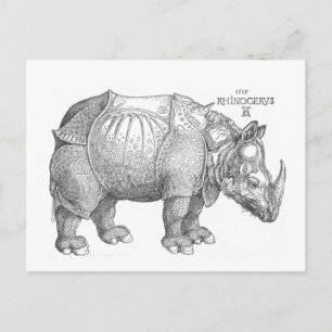 Rhinoceros Postcard