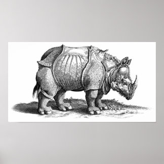 Rhinoceros Poster