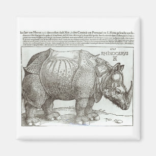 Rhinoceros, print given to Maximilian I (1459-1519 Magnet