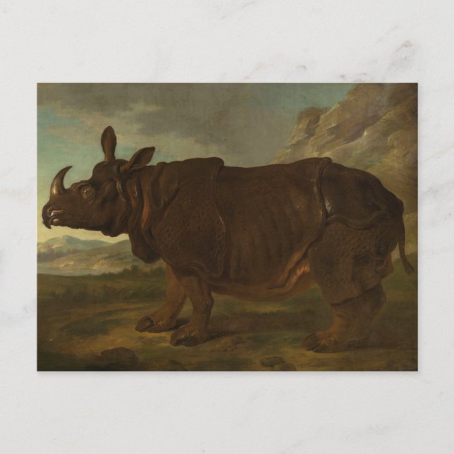 Rhinoceros (Rhino) (Wild Animal) (by J.B. Oudry) Postcard (Front)