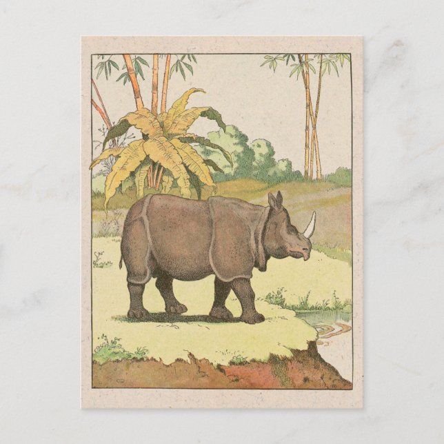 Rhinoceros Story Book Drawing Postcard (Front)