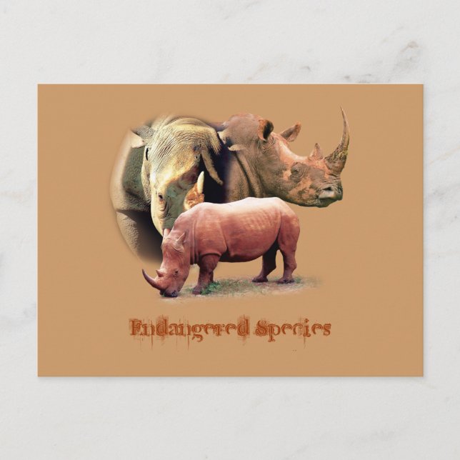 Rhinoceros The Endangered Species Cards (Front)
