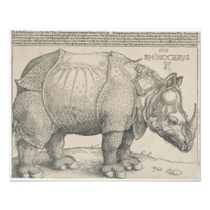 Rhinoceros, Woodcut by Albrecht Durer Photo Print