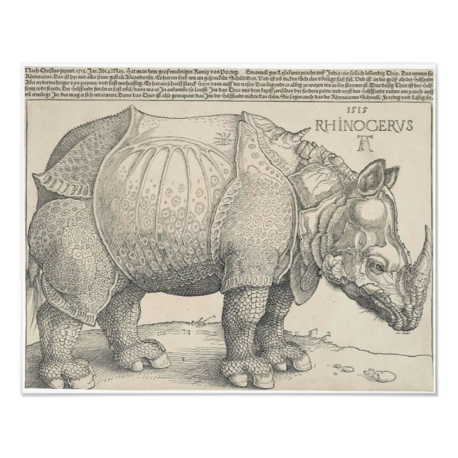 Rhinoceros, Woodcut by Albrecht Durer Photo Print (Front)