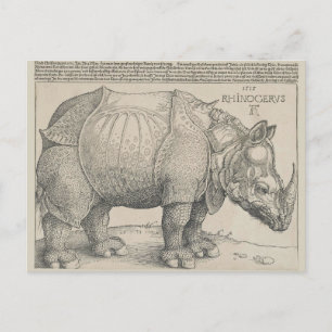 Rhinoceros, Woodcut by Albrecht Durer Postcard
