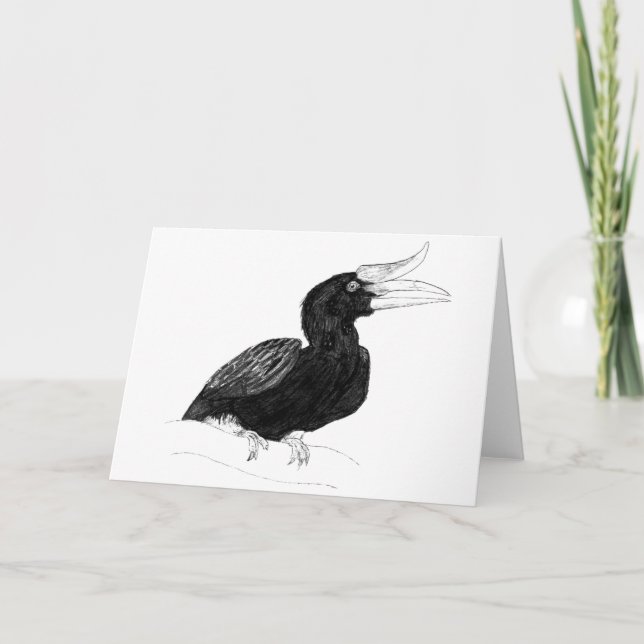 Rhinocerous Hornbill by Odin Card (Front)