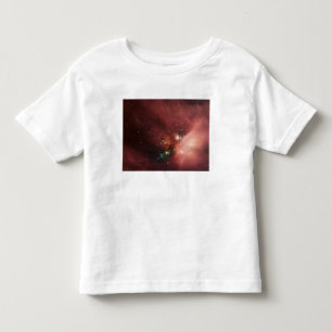 Rho Ophiuchi nebula 2 Toddler T-Shirt