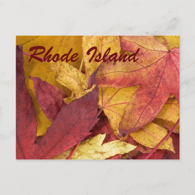 Rhode Island Autumn Leaves Postcard (Front)