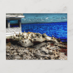 Rhode Island, Narragansett Picture Postcard