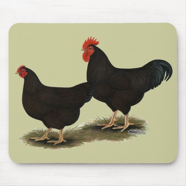 Rhode Island Red Bantams Mouse Mat (Front)