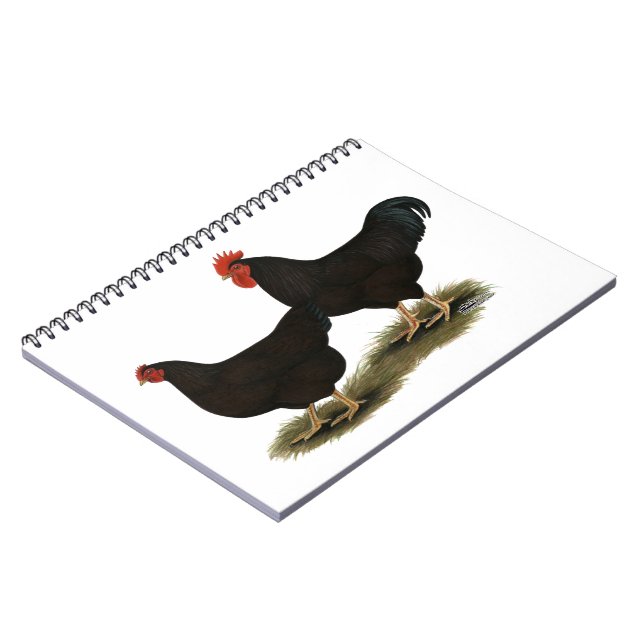 Rhode Island Red Bantams Notebook (Left Side)