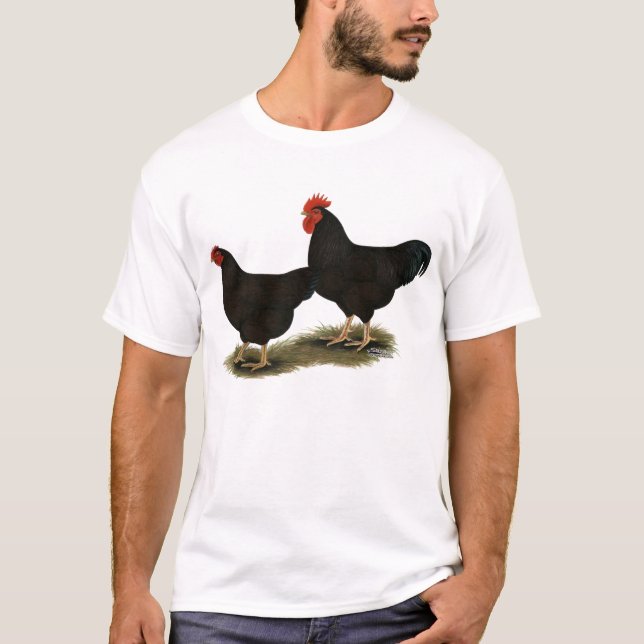 Rhode Island Red Bantams T-Shirt (Front)