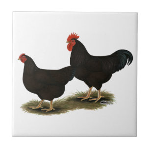 Rhode Island Red Bantams Tile