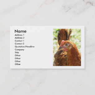 Rhode Island Red Business Card