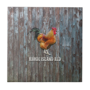 Rhode Island Red Chicken Tile