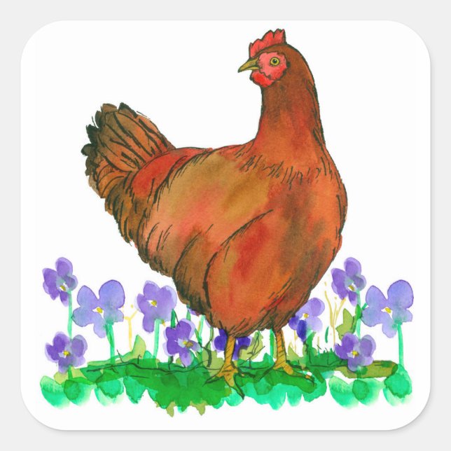 Rhode Island Red Chicken Watercolor Violets Square Sticker (Front)