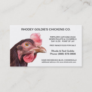 Rhode Island Red Hatchery Laying Hen Chicken Business Card