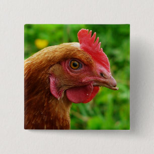 Rhode Island Red Hen 15 Cm Square Badge