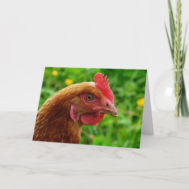 Rhode Island Red Hen Card (Front)