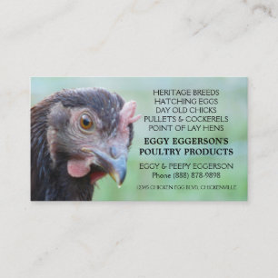 Rhode Island Red Hen Chicken Egg Farmer Business Card