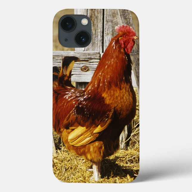 Rhode Island Red Rooster Case-Mate iPhone Case (Back)