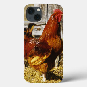 Rhode Island Red Rooster iPhone 13 Case