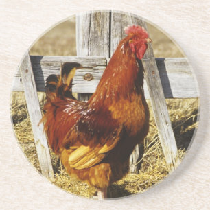 Rhode Island Red Rooster Coaster