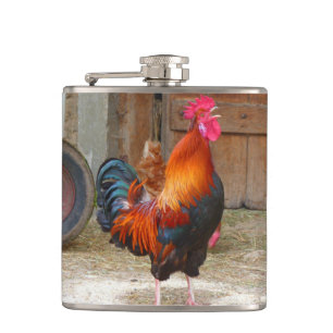 Rhode Island Red Rooster Crowing in Barnyard Hip Flask