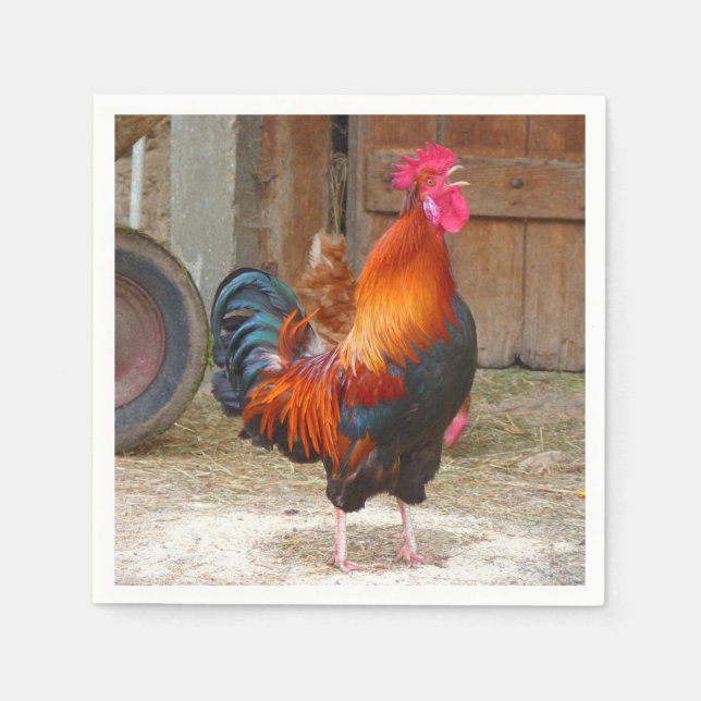 Rhode Island Red Rooster Crowing in Barnyard Napkin (Front)