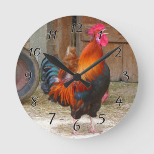 Rhode Island Red Rooster Crowing in Barnyard Round Clock