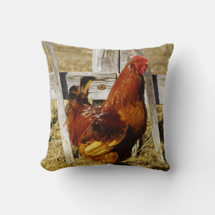 Rhode Island Red Rooster Cushion