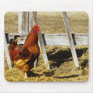 Rhode Island Red Rooster Mouse Mat
