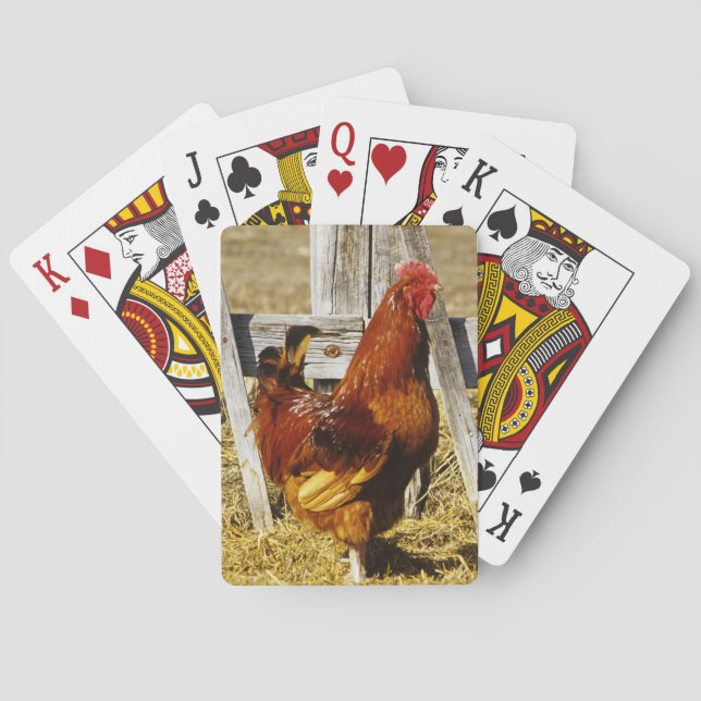 Rhode Island Red Rooster Playing Cards (Back)
